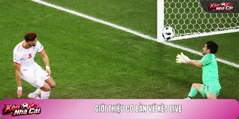 Giới thiệu cơ bản về kèo Live